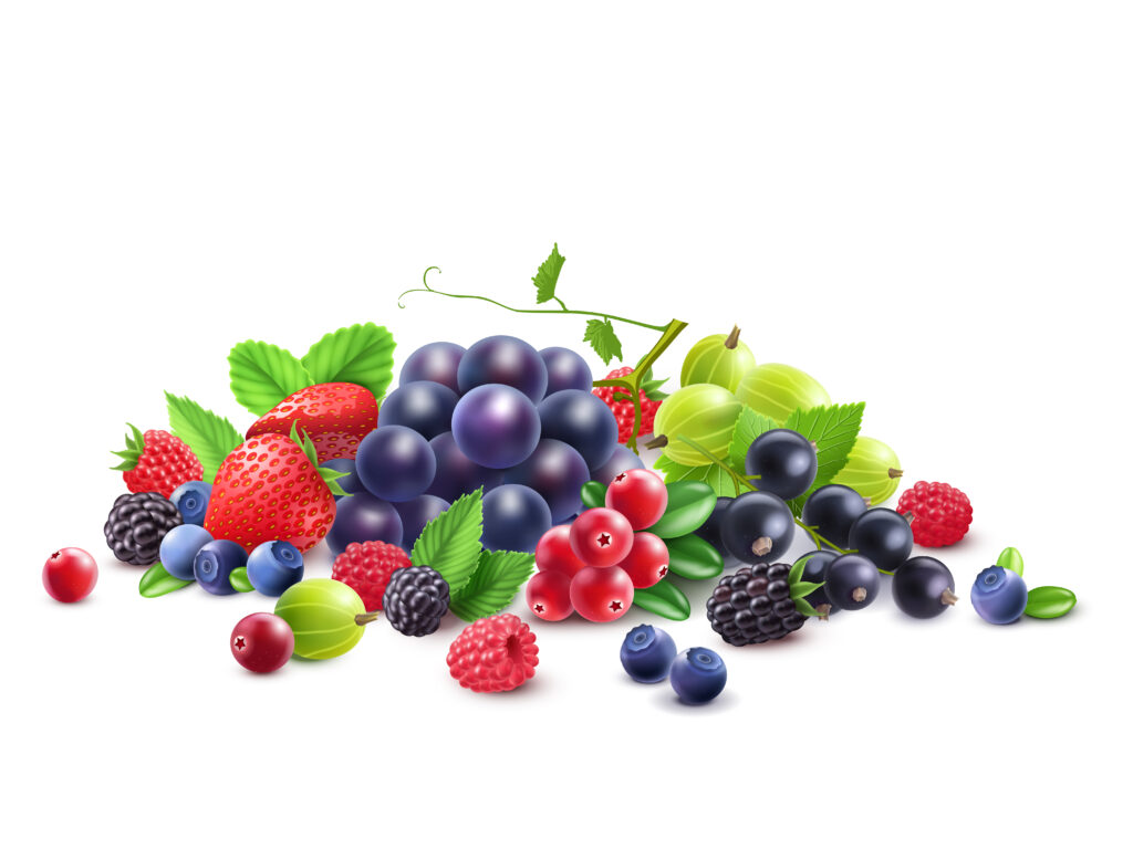 Superfood Berries