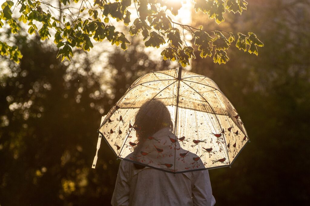 umbrella, sunlight, woman-6239364.jpg